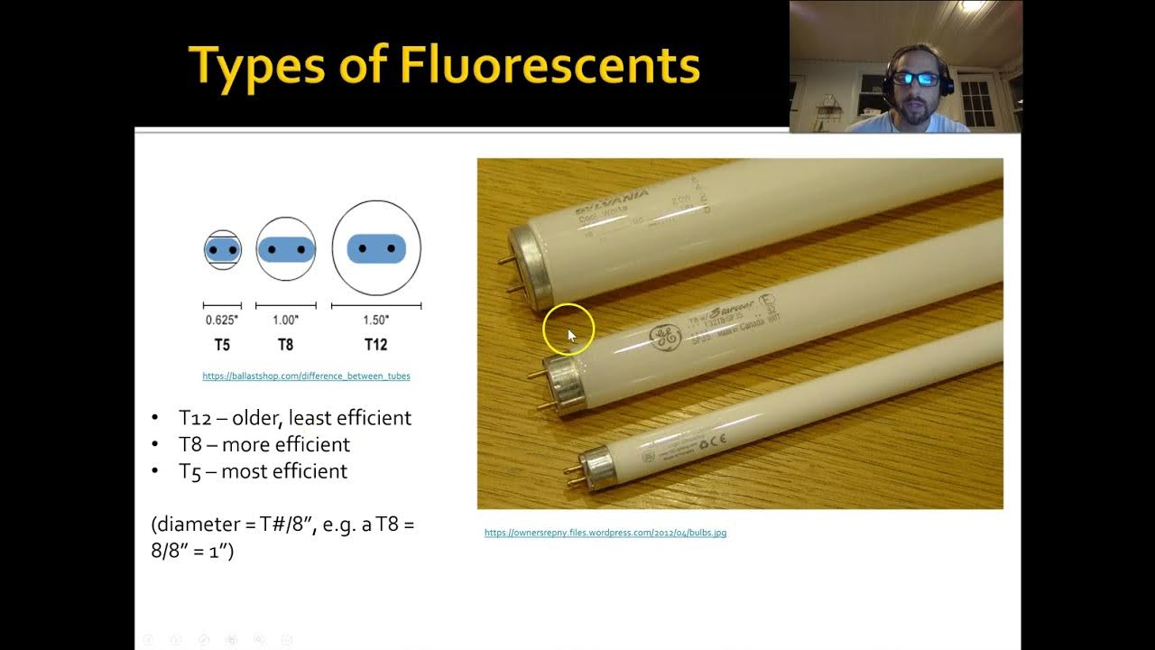 Lighting and Light Surveys YouTube