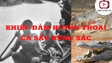 Xem Cùng Tui TV - Khiếp Đảm Huyền Thoại Cá Sấu Rừng Sác