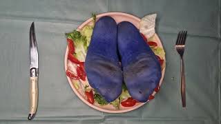 Tickle Salad On Little Stinking Socks Bon Appé