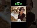 힐링이 필요할 때 이 영상 하나면 충분해요