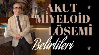 Akut Miyeloid Lösemi (AML) Belirtileri Nelerdir?