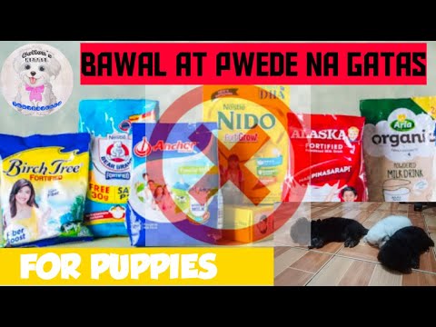 Video: Mahalaga Sa Mga Gantimpala Na Mahalaga Para Sa Pagsasanay Ng Mga Tuta - Pagsasanay Sa Hangad Na Batay Sa Aso - Puro Puppy