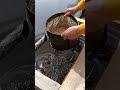 Перші приготування на місці ловлі 🎣👌🙂 #рибалка #топ #фідер #термосумки #топ #carpfishing #outdoors