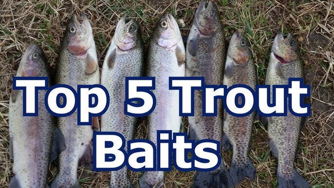 Top 5 RAINBOW and MULTI-COLOR Powerbait Trout Fishing Colors (with BONUS  Colors) 