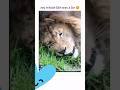 try not to laugh #FunnyClips #LaughOutLoud #ComedyCompilation