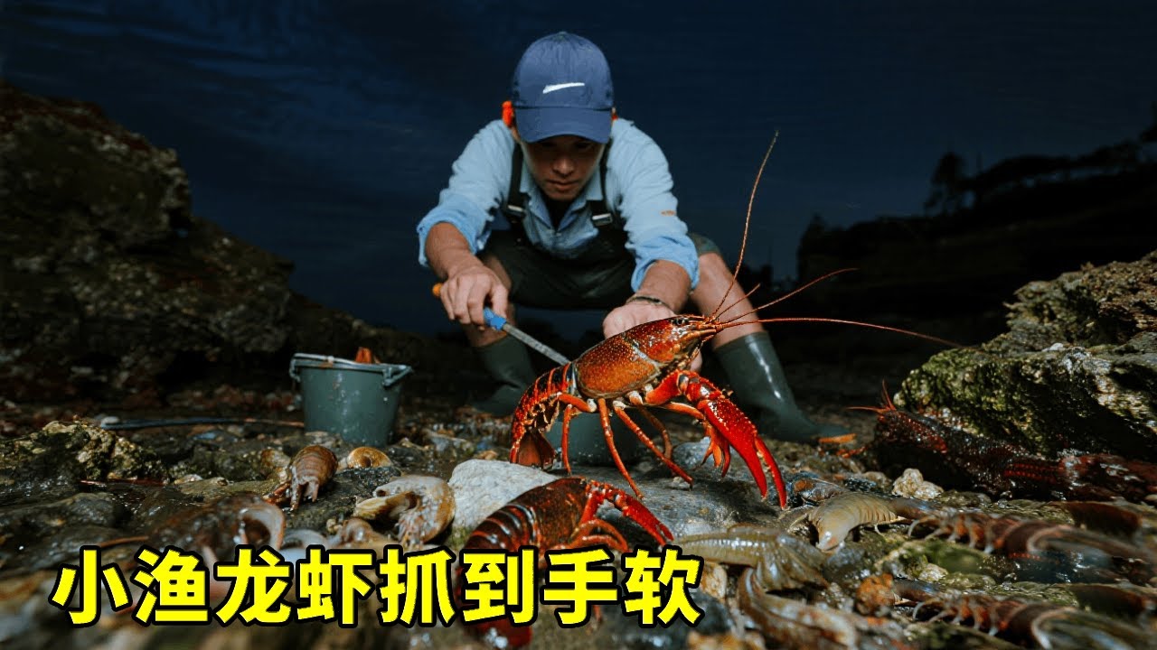小渔夜袭无人岛，龙虾遍地捡到手软，直呼发大财【渔小仙】