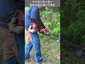 刈払い機ナイロンカッターの左から右に刈ってみた！#草刈り #草刈機 #ナイロンカッター