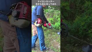 ゼノア 純正スプロケットノーズバー 14インチ 1/4ピッチ .050