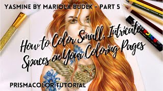 How to Color Small, Intricate Spaces on Your Coloring Pages  | Mariola Budek Yasmin - Part 5