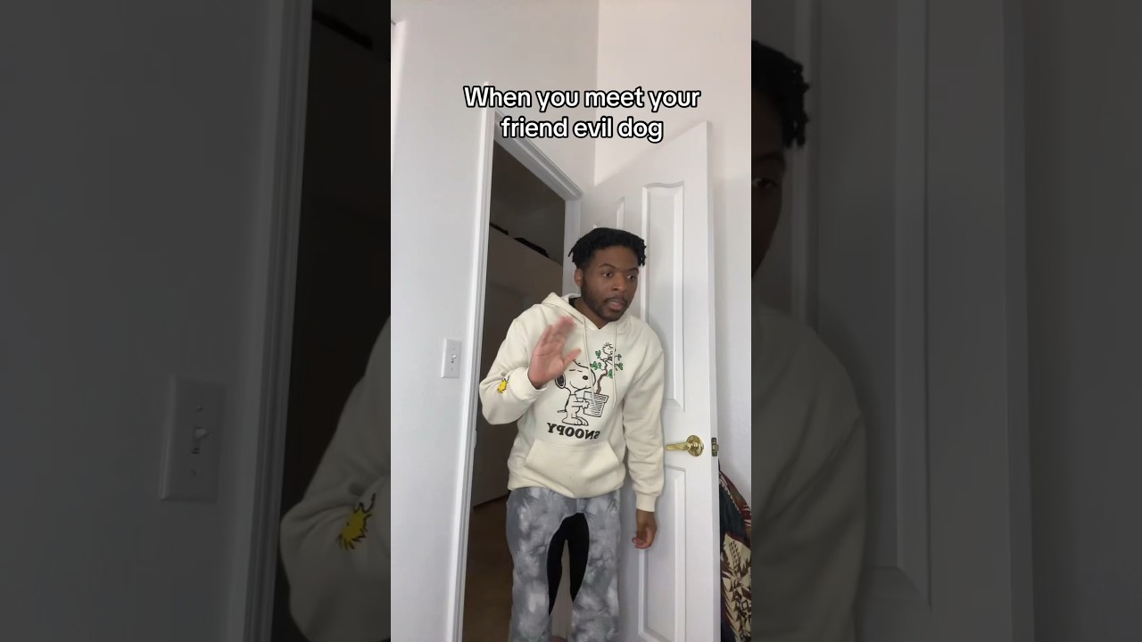 Your friend evil dog