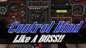ADVANCED How To Setup Your Controls Like A Boss In MSFS and SPAD/Axis and Ohs