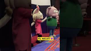Fi̇l Necati̇yi̇ Gördüm💜😊