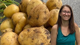 Satisfying Potato Harvest in the Heat