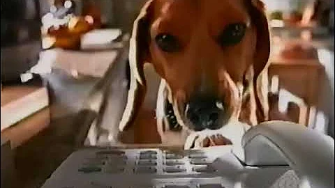 Cesar dog food commercial from 2000