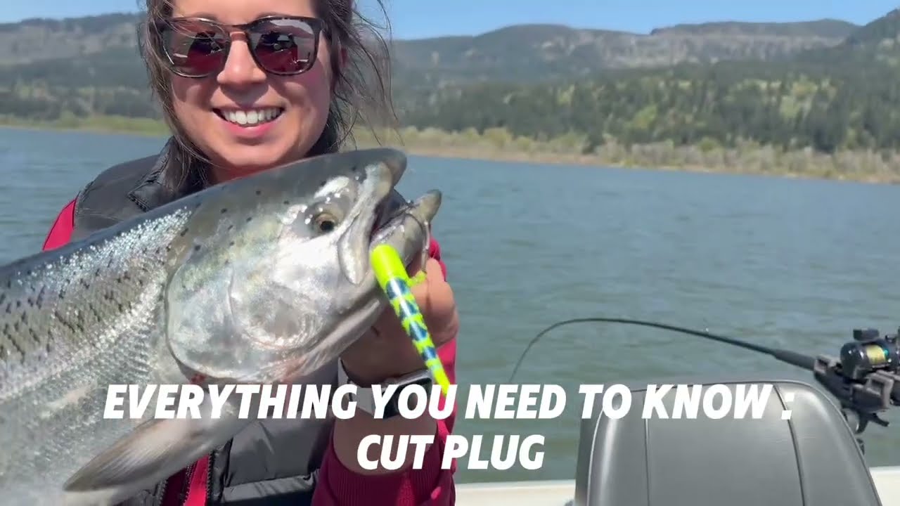 EVERYTHING You Need to know: Cut Plug