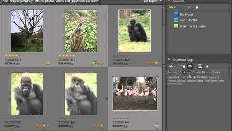 Tag Cloud in Photoshop Elements