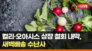 컬리 오아시스 상장 철회 내막 새벽배송 수난사