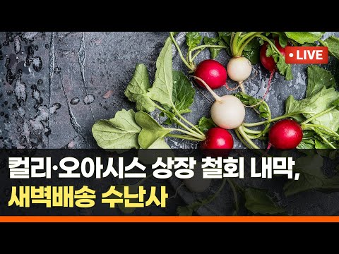 컬리 오아시스 상장 철회 내막 새벽배송 수난사 