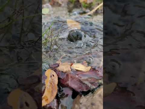 فيديو للاسترخاء مع صوت الماء 