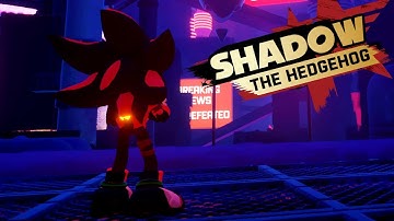 Shadow 2099: Unique Shadow the Hedgehog Experience!