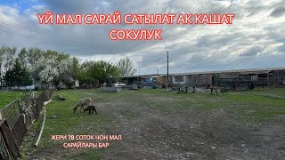 видео: УЙ МАЛ САРАЙ САТЫЛАТ АК КАШАТ СОКУЛУК 2023 картинка: УЙ МАЛ САРАЙ САТЫЛАТ АК КАШАТ СОКУЛУК 2023