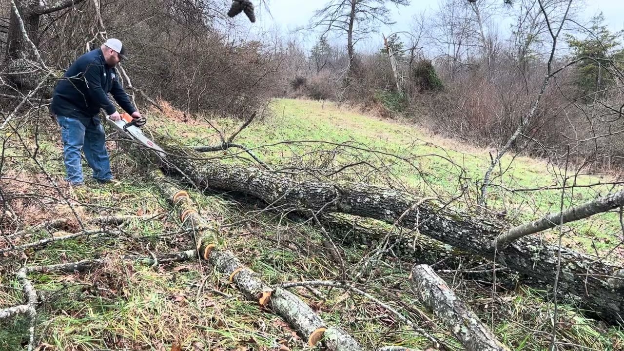 Ported RR/stihl ms261c😎🦎