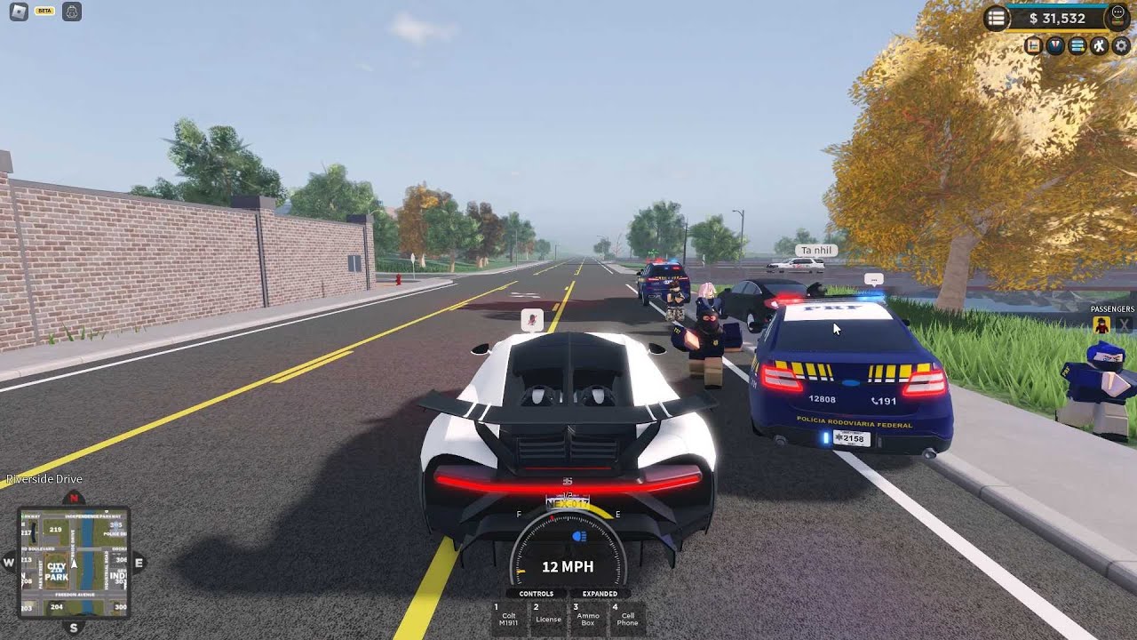 Apenas um dia bonito no Brasil RP | ERLC