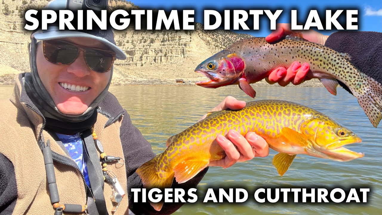 Springtime Fly Fishing on a Dirty Lake - Cutthroat and Tiger Trout