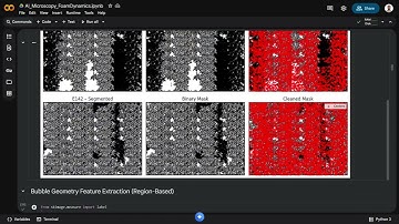 Image-Driven Foam Stability Analysis Using Microscopy | ML for Microscopy Hackathon 2025