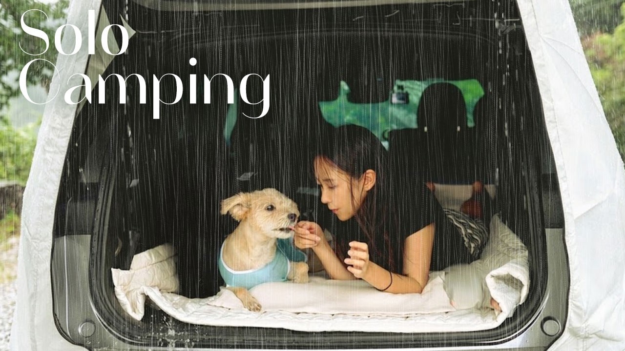 Экономичное кемпинговое снаряжение, необходимое для автокемпинга | Temu | Кемпинг