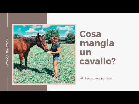 Video: Come Nutrire Un Cavallo A