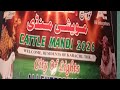 Northern By pass madni 2k26 ki latest update  by World animal lovers 