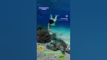 AMAZING!   CONQUEROR MINDSET.  GO GET IT!  #youtubeshorts #foryou #fyp #shorts #shortvideo #fypage