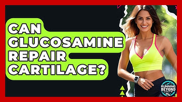 Can Glucosamine Repair Cartilage? - Running Beyond Limits