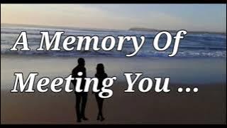 A MEMORY OF MEETING YOU 