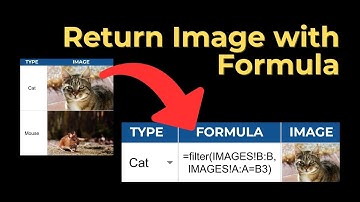 Show Pictures in Google Sheets With Just a Formula!