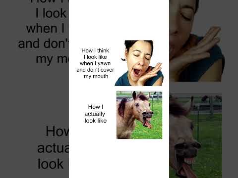 Funny Random Memes
