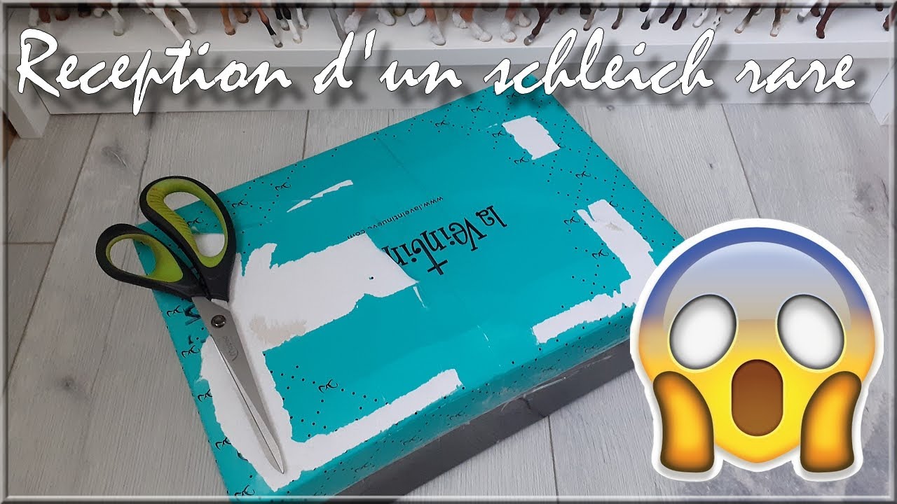 Colis d'un Schleich rare !!