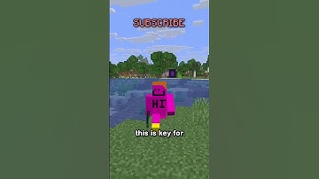 How To Get Your Home Portal On The Nether Roof