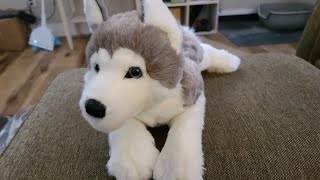 Unboxing Geno Husky Plush by Douglas + Review!