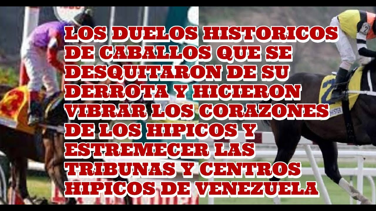 TOP 7 LAS MEJORES RIVALIDADES DEL HIPODROMO LA RINCONADA Y DE CABALLOS QUE DESQUITARON SU DERROTA