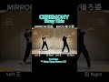 " Stray Kids / CEREMONY " Dance Mirrored Tutorial dancecover