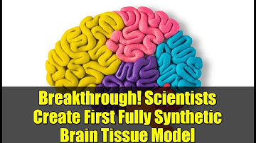 Breakthrough! Scientists Create First Fully Synthetic Brain Tissue Model | Future of Drug Testing