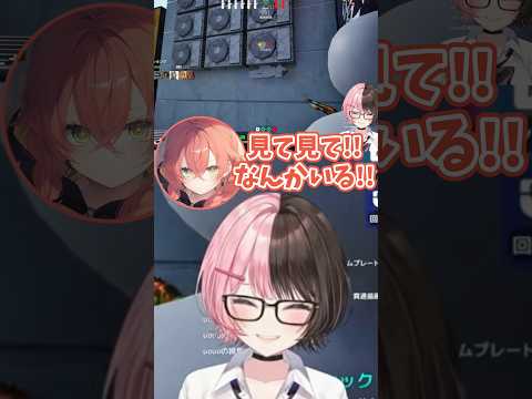 速攻でバレるビギナーひなーのw【ぶいすぽ/橘ひなの/ひなーの/切り抜き】