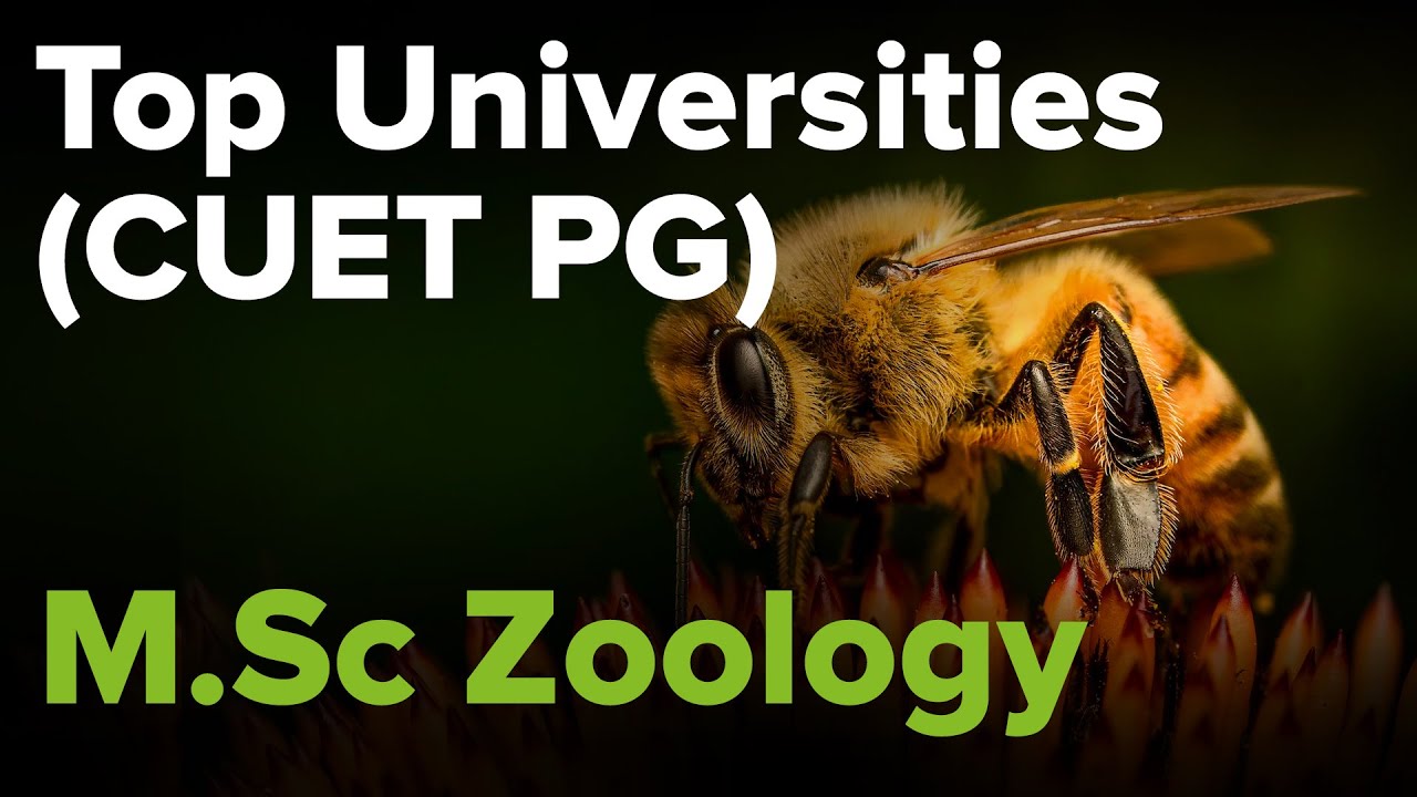 CUET PG I M Sc Zoology I PGQP75 I Top Universities I Kerala s No 1 PG cuet-pg-i-m-sc-zoology-i-pgqp75-i-top-universities-i-kerala-s-no-1-pg