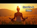 Yoga Meditation Music 🧘‍♀️ | Relaxing Mind &amp; Body | Stress Relief &amp; Inner Peace