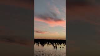 يا مسافر وحدك                 سمعها