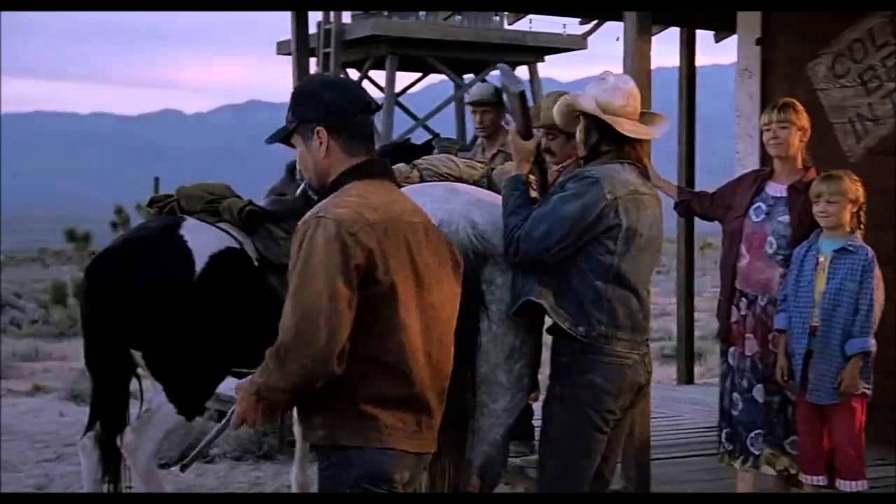 Swiss Cheese and Some Bullets YouTube