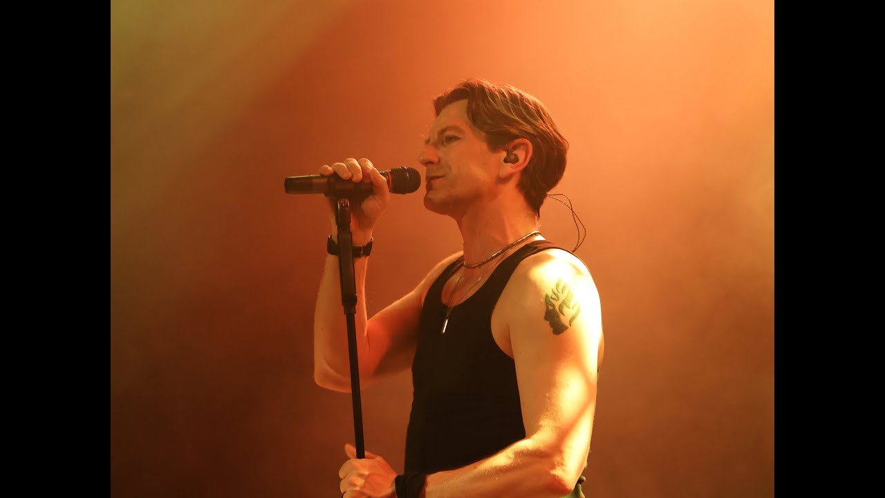 Frozen Plasma, 20th Aniversary Show, 31.05.2025, Live Das Bett, Frankfurt am Main