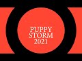 Puppy storm 2021 - Takis Shelter